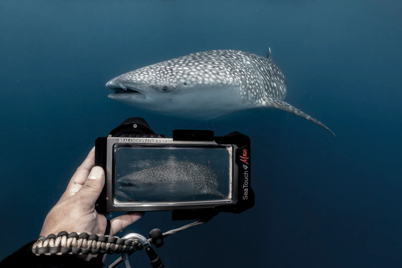 Capa de Celular à Prova d'água